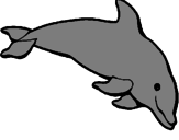 Desenho Golfinho contente pintado por camila