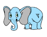 Desenho Elefante pequeno pintado por K