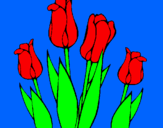 Desenho Tulipa pintado por lucas