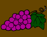 Desenho Uvas pintado por gabriell