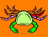 Desenho Caranguejo de mar pintado por nana