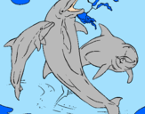 Desenho Golfinhos a brincar pintado por    ANA CAROLINE K. 
