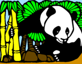 Desenho Urso panda e bambu pintado por thiago