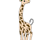 Desenho Girafa pintado por Joao    victor
