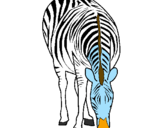 Desenho Zebra pintado por JOAO   VICTOR