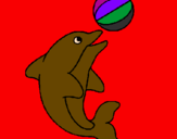 Desenho Golfinho a jogar com uma bola pintado por JOAO   VICTOR