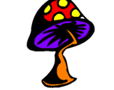 Desenho Cogumelo pintado por gui