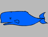 Desenho Baleia azul pintado por Mariana