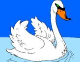 Desenho Cisne na água pintado por Inês ls