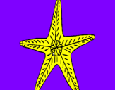 Desenho Estrela do mar pintado por diogo