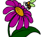 Desenho Margarida com abelha pintado por flor