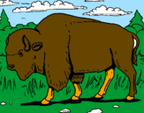 Desenho Búfalo pintado por bruno