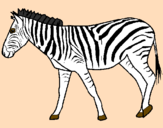 Desenho Zebra pintado por zebra