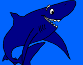 Desenho Tiburão alegre pintado por Rafael