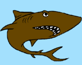 Desenho Tubarão pintado por carlos andre