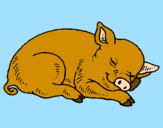 Desenho Porco a dormir pintado por Danielly