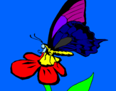 Desenho Borboleta numa flor pintado por LRISSA