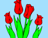 Desenho Tulipa pintado por bertha