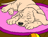 Desenho Cão a dormir pintado por maria teresa