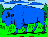 Desenho Búfalo pintado por LUCAS