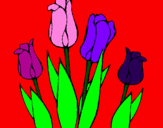 Desenho Tulipa pintado por maria joao