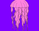 Desenho Medusa pintado por vinicius