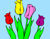 Desenho Tulipa pintado por yssa