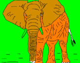 Desenho Elefante pintado por ALYSSON