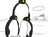 Desenho Familia pinguins pintado por LUCAS