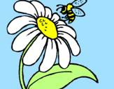 Desenho Margarida com abelha pintado por onda