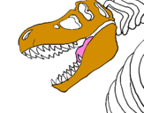 Desenho Esqueleto tiranossauro rex pintado por mexico