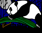 Desenho Urso panda a comer pintado por lucas
