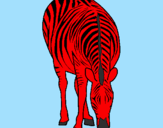 Desenho Zebra pintado por atacado