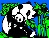 Desenho Mamã panda pintado por chelsea m...