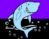 Desenho Tubarão pintado por HUGO