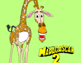 Desenho Madagascar 2 Melman pintado por Pedro Henrique