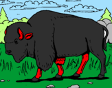 Desenho Búfalo pintado por Dannivan gostoso