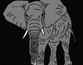 Desenho Elefante pintado por BMX
