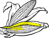 Desenho Espiga de milho  pintado por lala