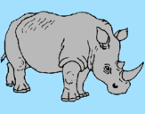 Desenho Rinoceronte pintado por miguel