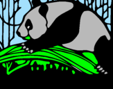 Desenho Urso panda a comer pintado por maiquinho da 12