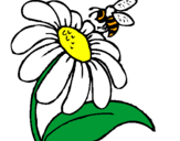 Desenho Margarida com abelha pintado por margarida