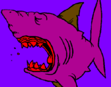 Desenho Tubarão pintado por vinicius