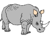 Desenho Rinoceronte pintado por tata