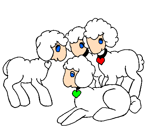Desenho Ovelhas pintado por Camila
