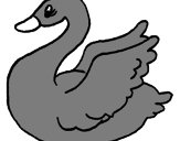 Desenho Cisne pintado por DUDA