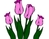 Desenho Tulipa pintado por nane