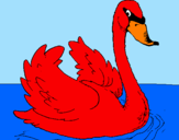 Desenho Cisne na água pintado por daniel
