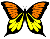 Desenho Borboleta pintado por mariposa