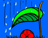 Desenho Joaninha protegida da chuva pintado por gabriela